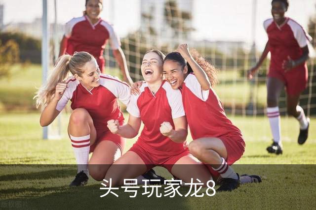 头号玩家龙8公司介绍图片